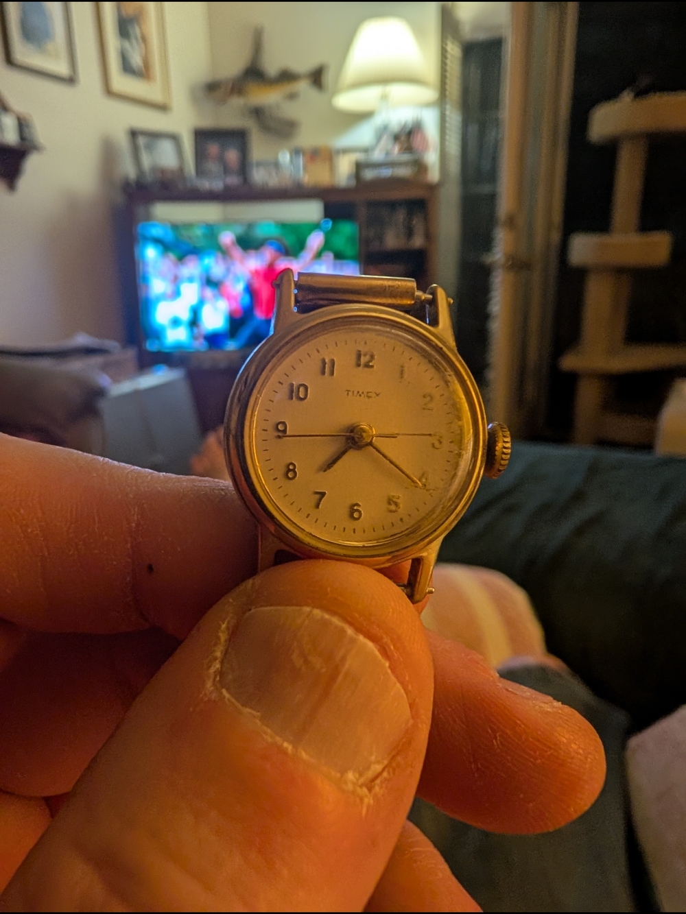 Vintage Timex Shock Resistant Women's Watch with Stretch Band